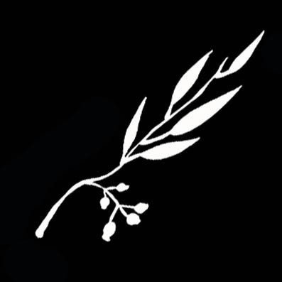 Trees and plants
